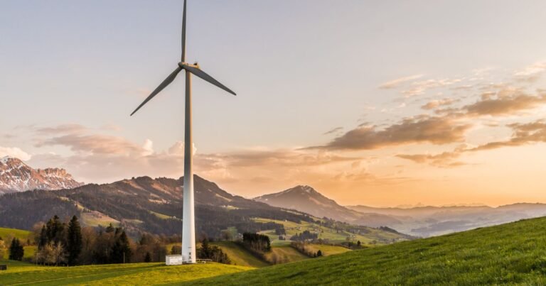 Starting a Wind Energy Career? Here’s What You Need to Know
